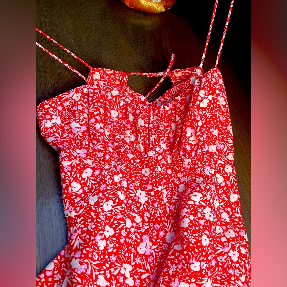 Zara dress